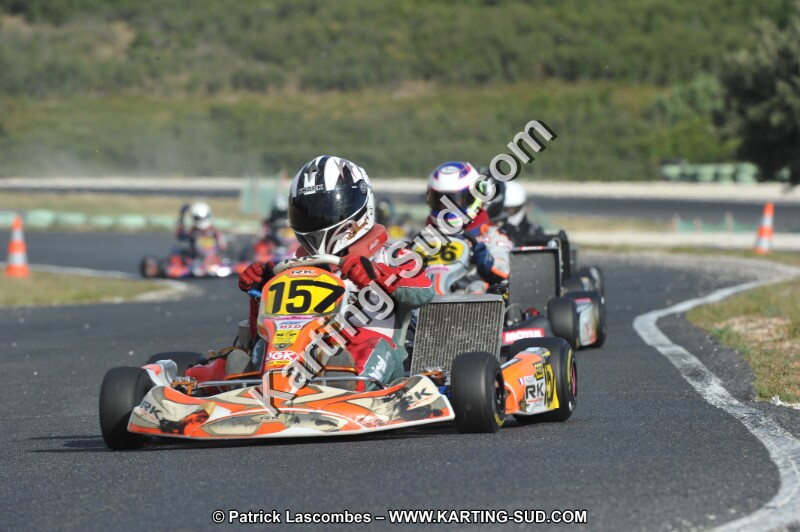DSC (3952).JPG